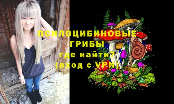 синтетический гашиш Алексин