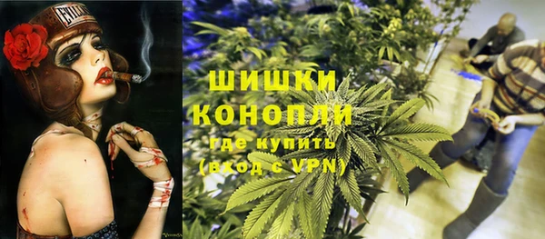 крисы Абдулино