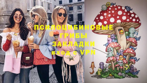 крисы Абдулино