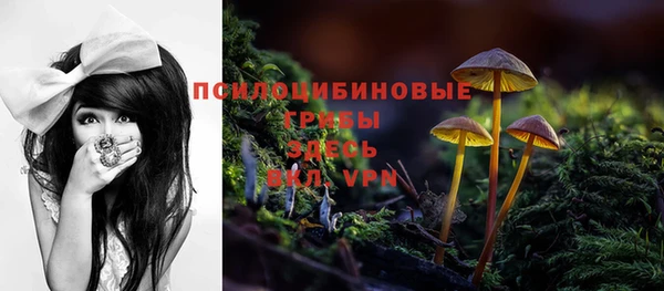 гидра Алзамай