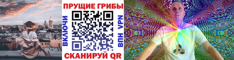 Псилоцибиновые грибы прущие грибы  mega зеркало  Грязи 